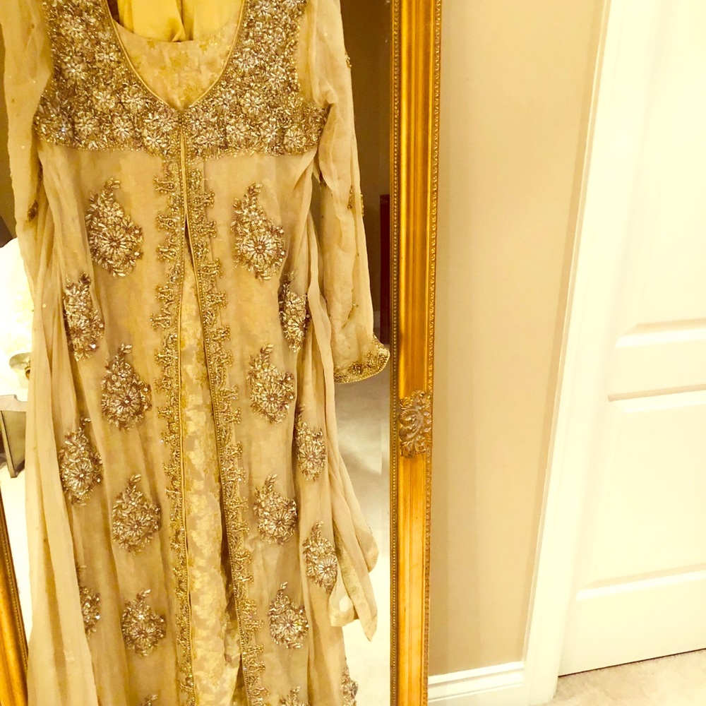 Pakistani/Indian wedding outfit